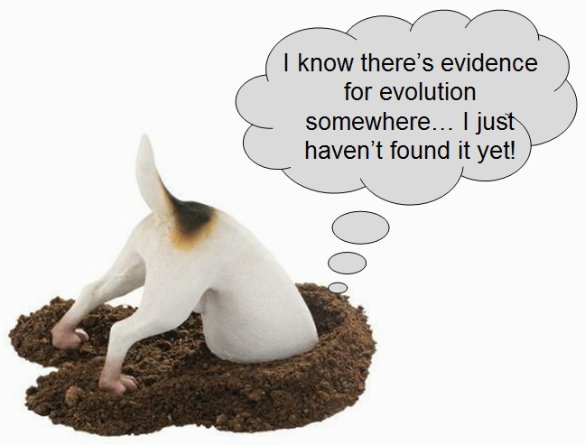 zero evidence for evolution theory