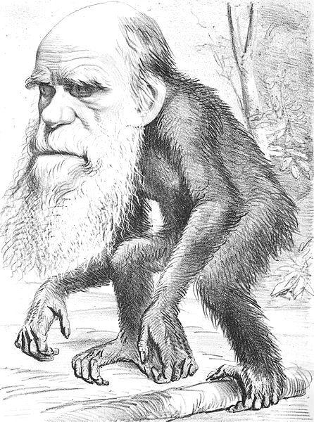 charles darwin ancestors richard dawkins evolutionists