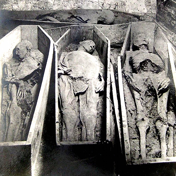 bodies-in-coffins