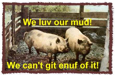 dirty muddy pigs wallowing in sin unholy in heaven