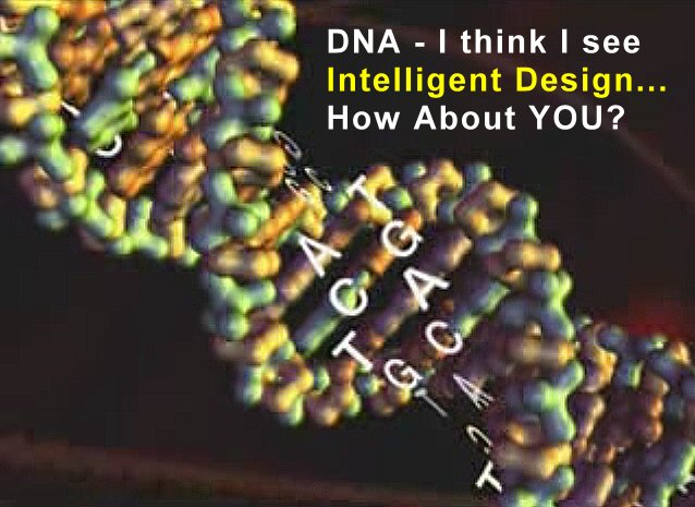 dna code strands evolution intelligent design evidence