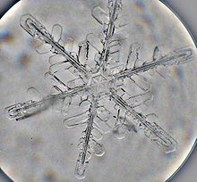 snowflake shape example of intelligent design