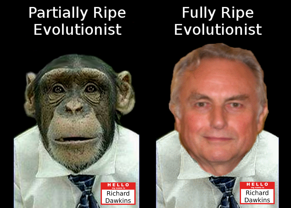 evolutionist ripe monkey man evolved fake fraud ID intelligent design darwin richard dawkins