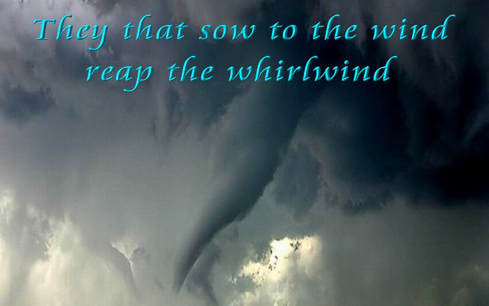 sow to the wind reap the whirlwind hosea 8