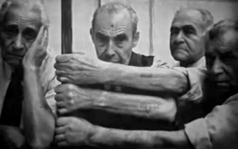 nazi prison camp inmates with serial number tattoos on arms