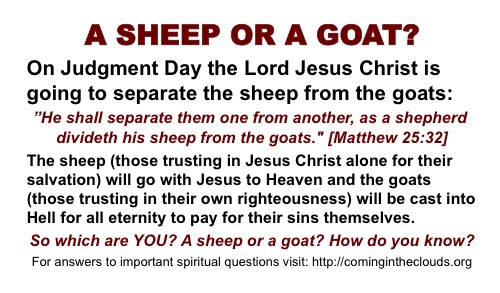 sheep or goats business card gospel tract