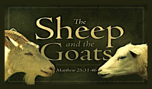 sheep or goats business card gospel tract