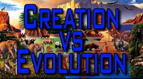 Creation-Evolution Videos
