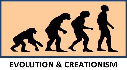 human origins evolution creationism intelligent design darwinism creation science