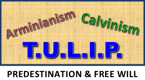 Predestination free-will calvinism arminianism election TULIP