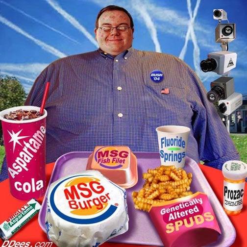 junk foods unhealthy processed food products and additives