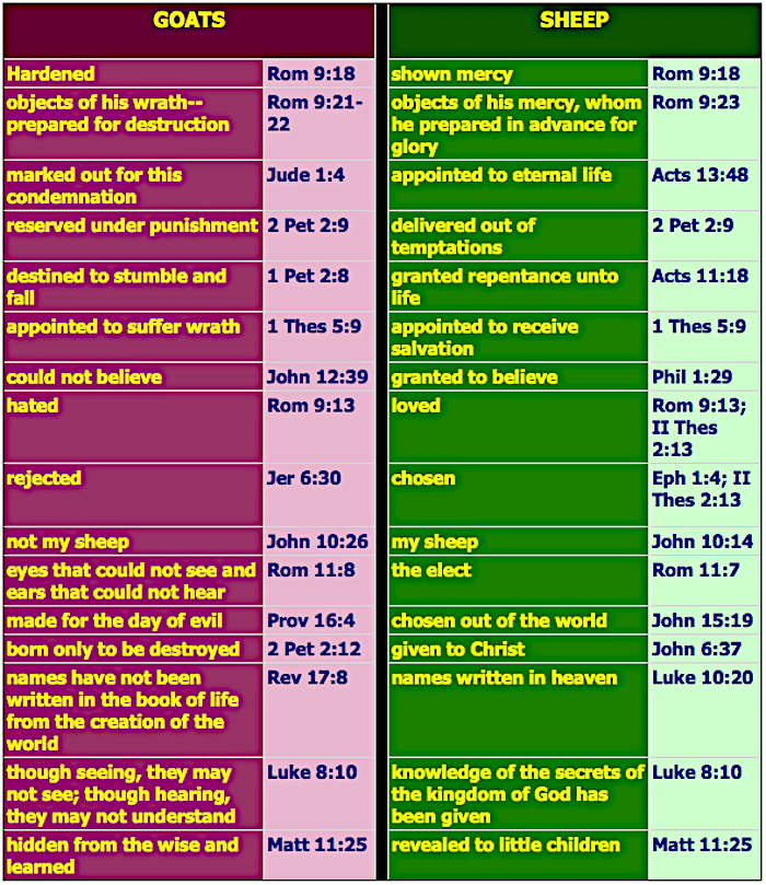 election predestination free-will arminianism calvinism tables charts