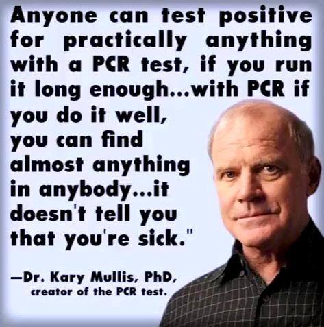 PCR test scam false positives nasal vaccines